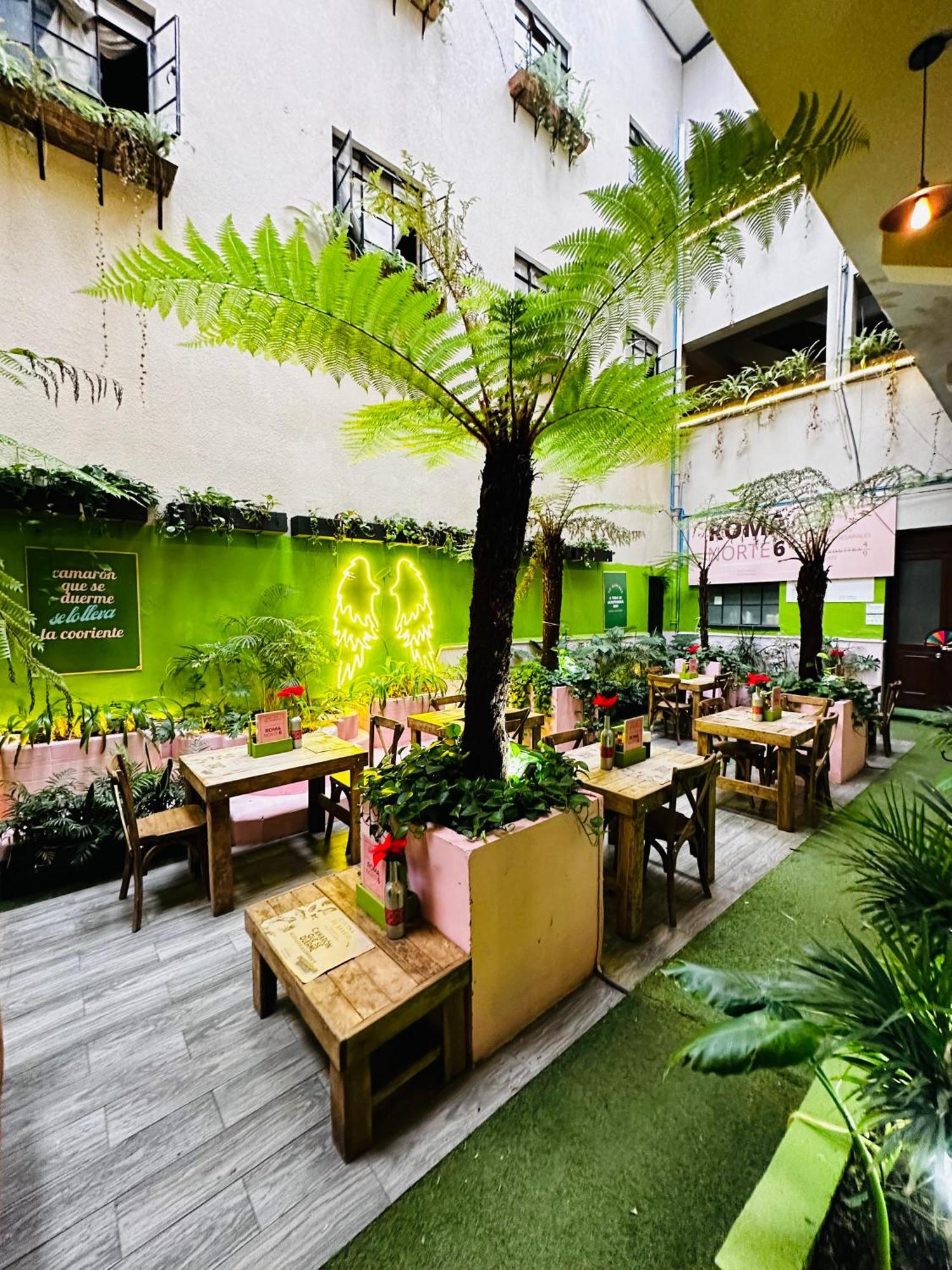 Frontera 49 Roma Norte Hostal 墨西哥城 外观 照片