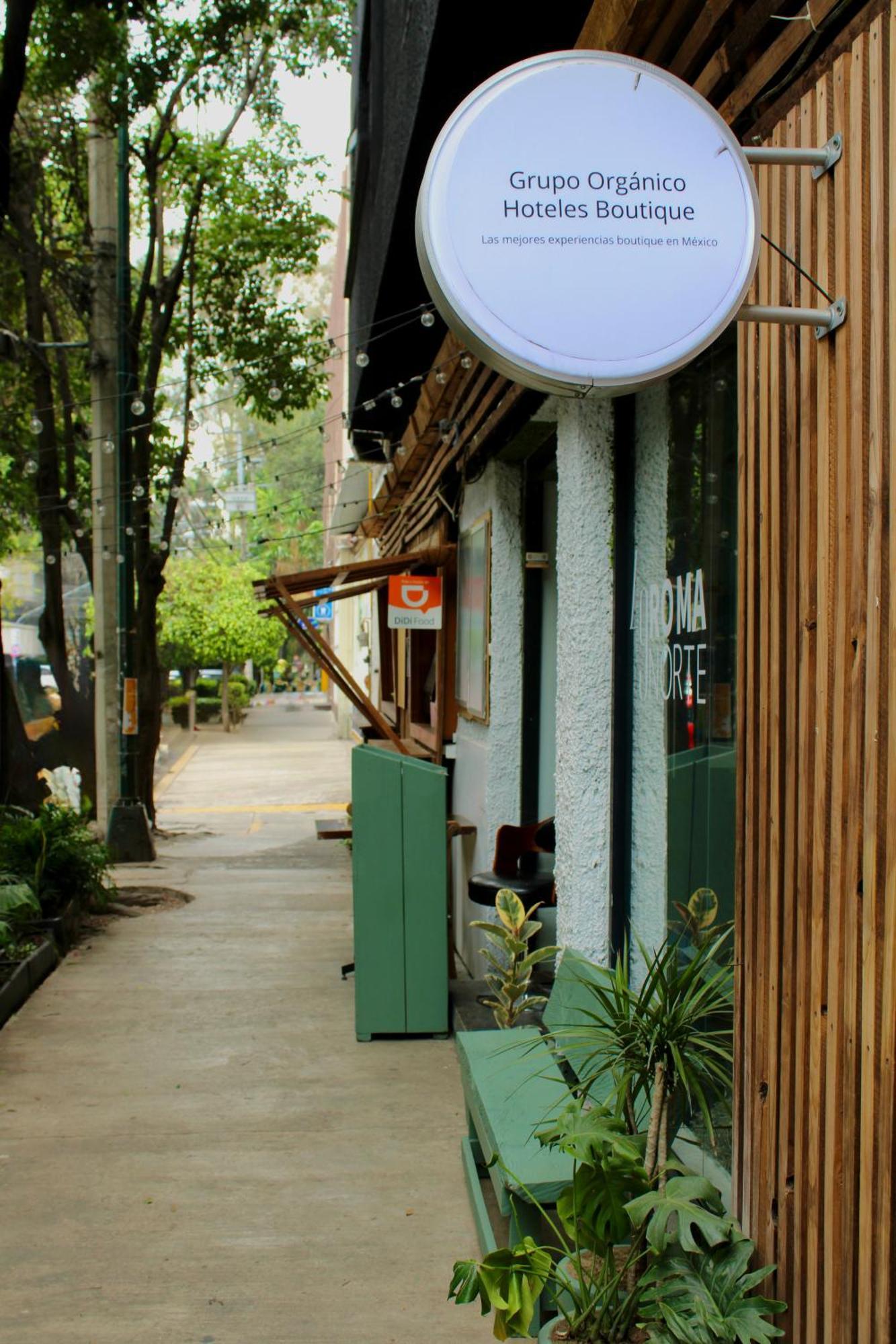 Frontera 49 Roma Norte Hostal 墨西哥城 外观 照片